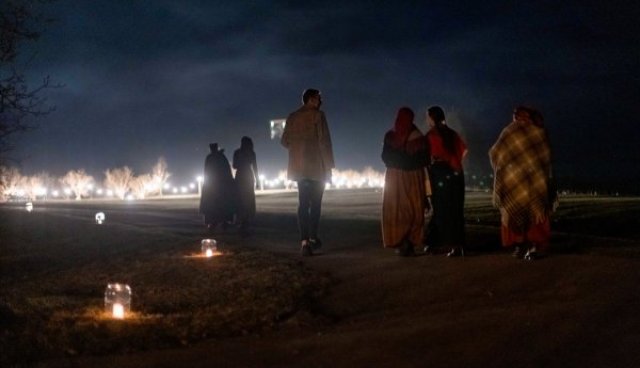 LVM arborētumā izskanēs koku stāsti gaismai