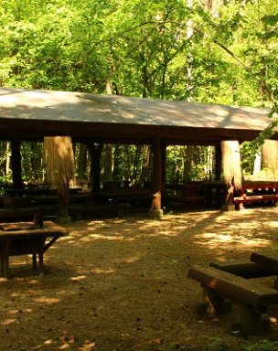 Piknika vietas dabas parkā