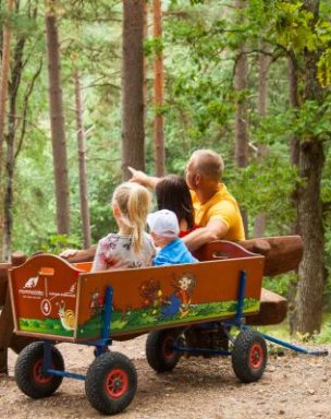 Baby carriage rental 