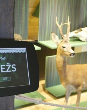 The Forest Museum