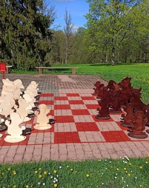 Forest chess