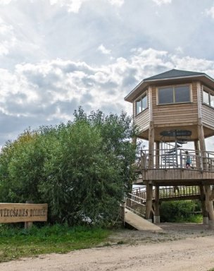 Birdwatching from a birding tower