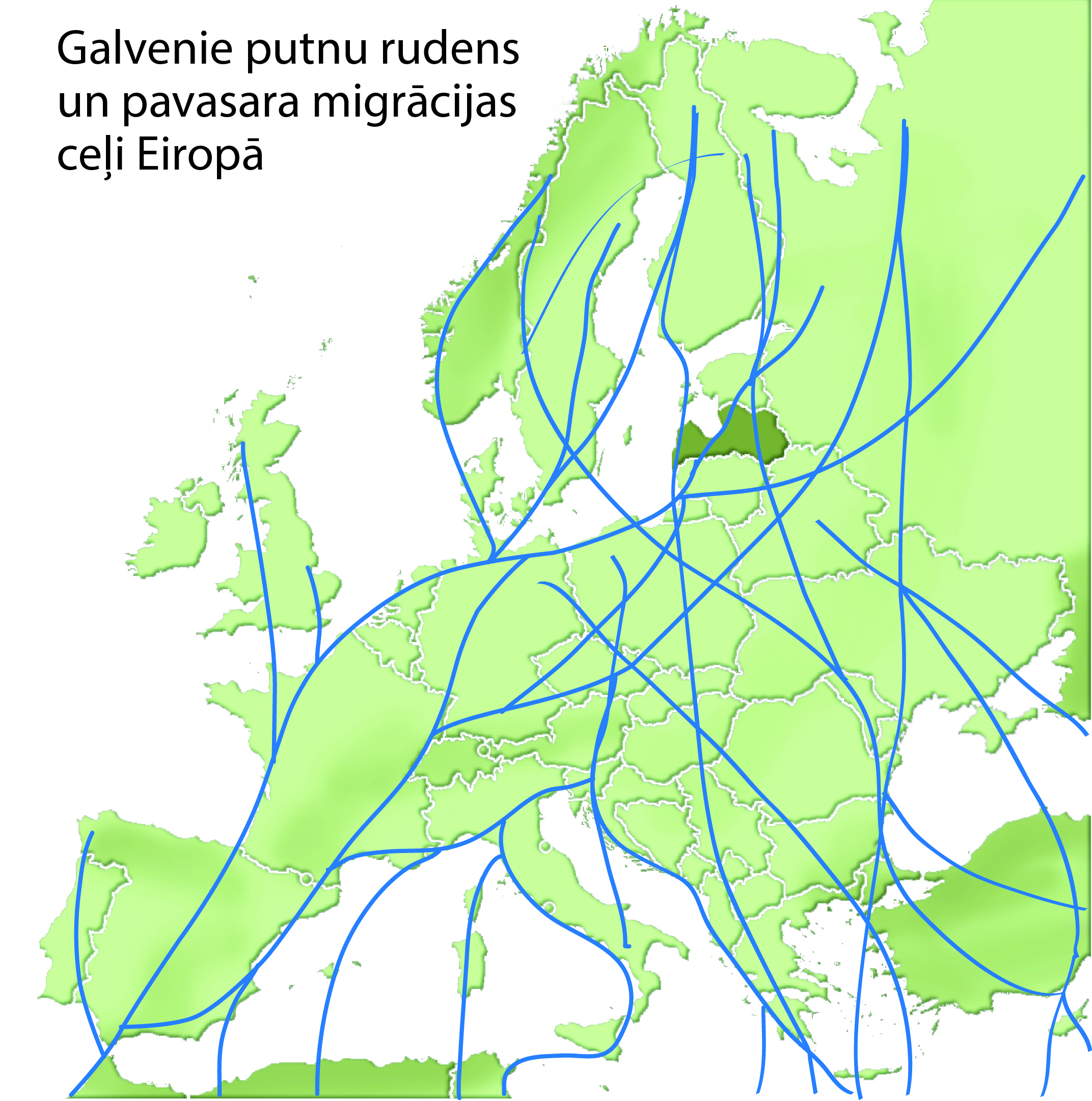 Putnu migracija karte2