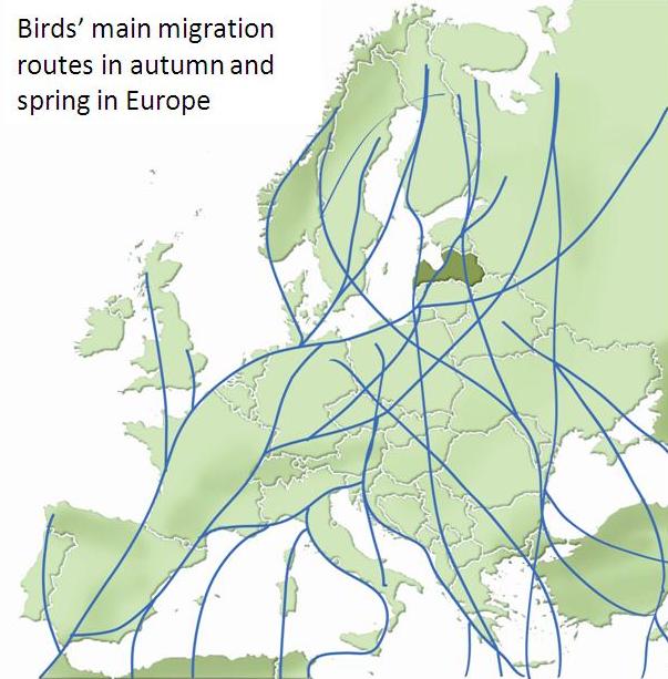 migration routes