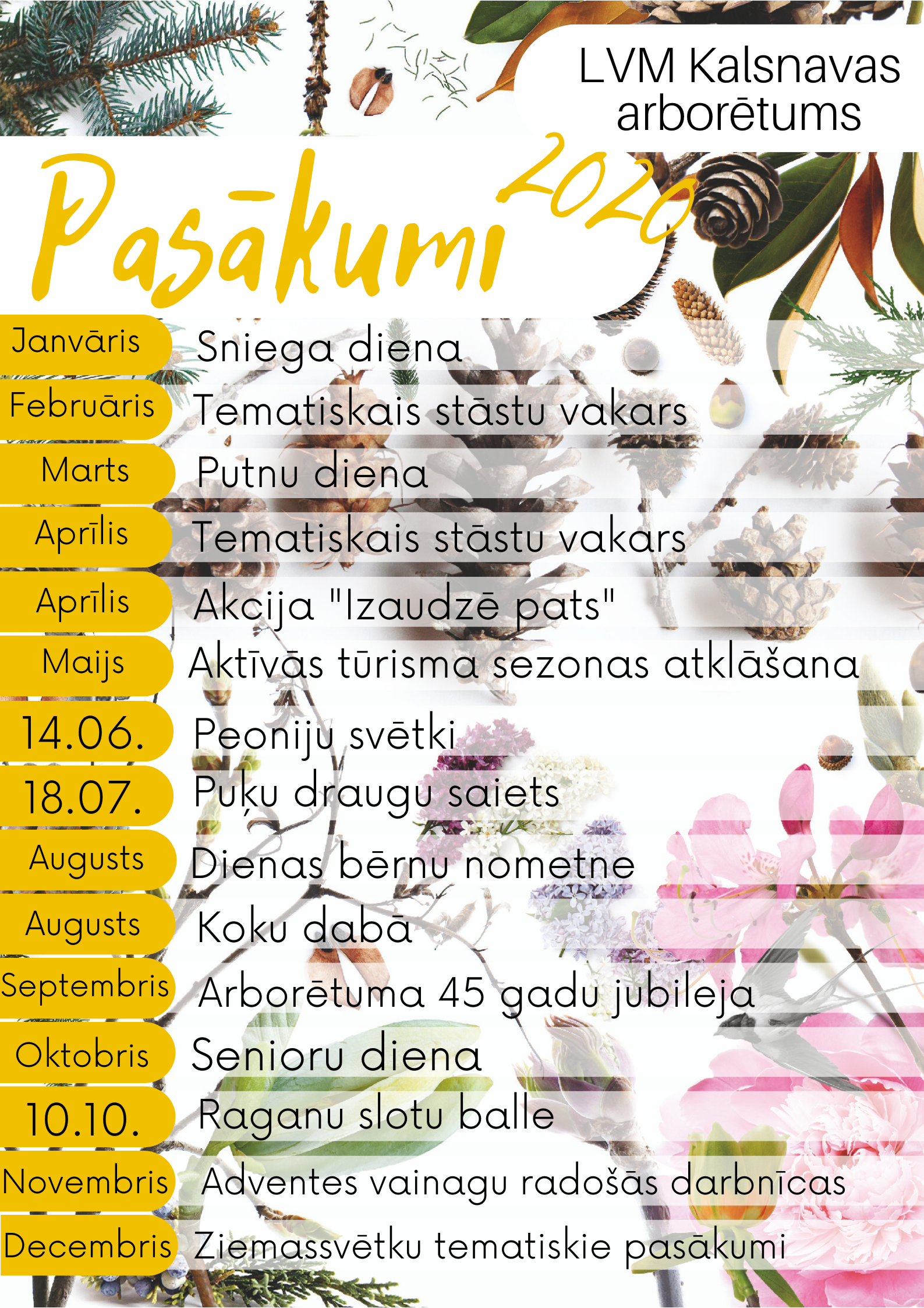 pasakumu plans