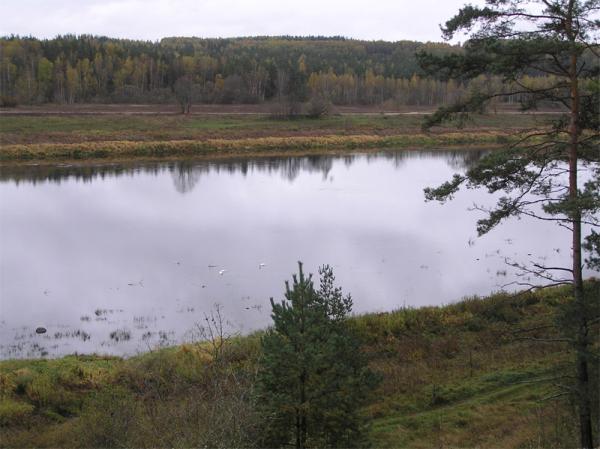 daugavas loki