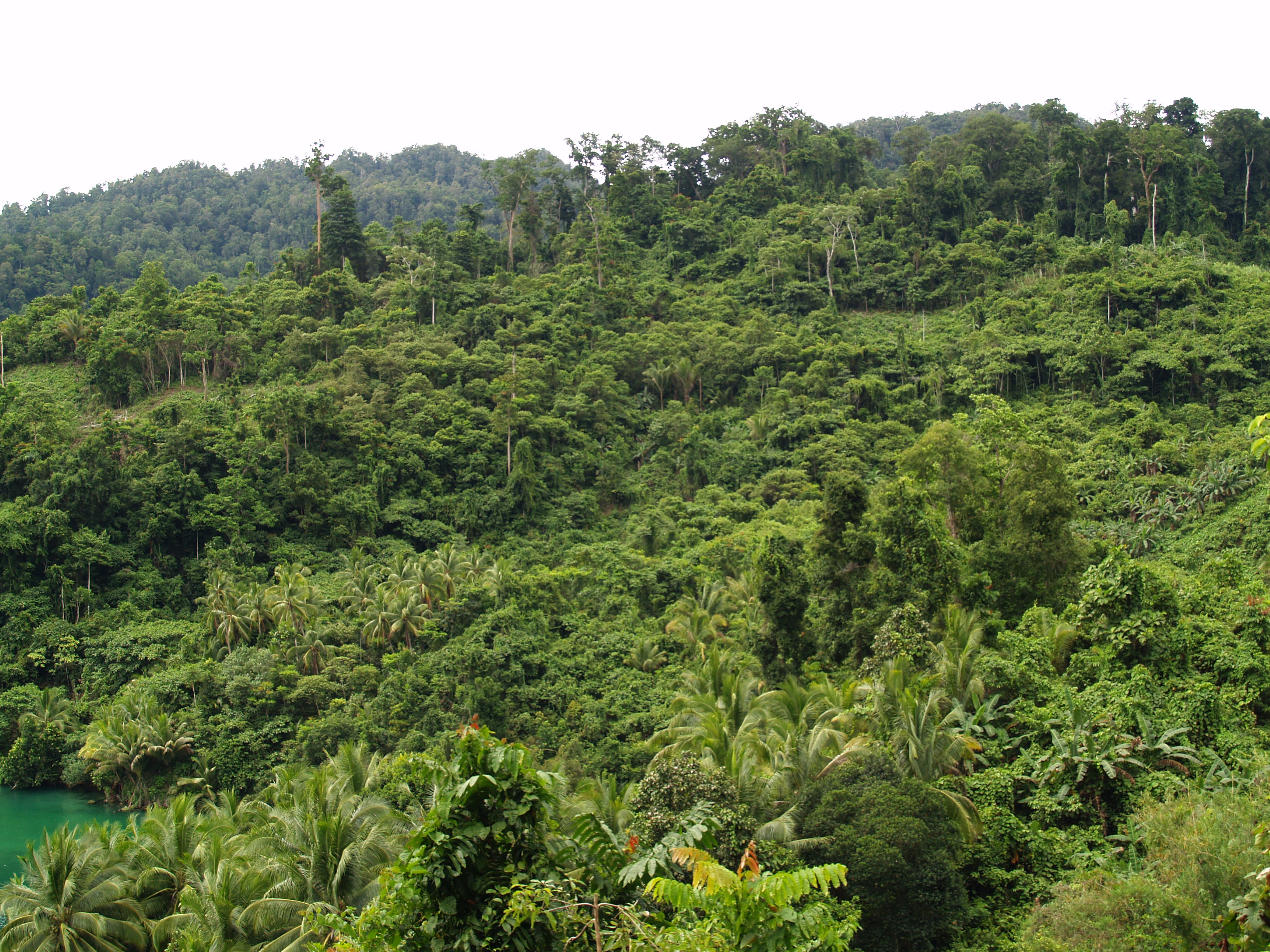 3 Indonesia2010 0162