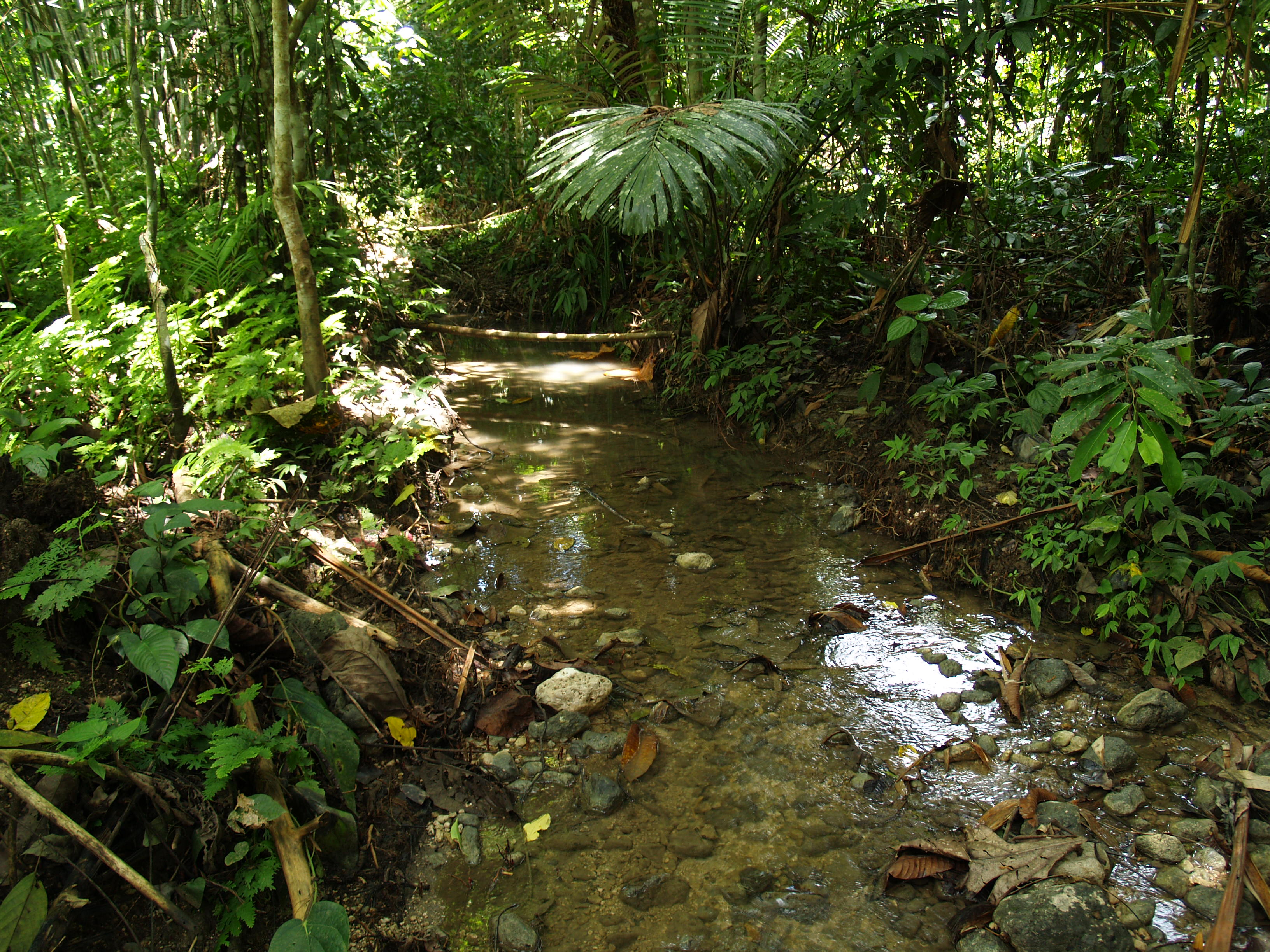 4 Indonesia2010 0706