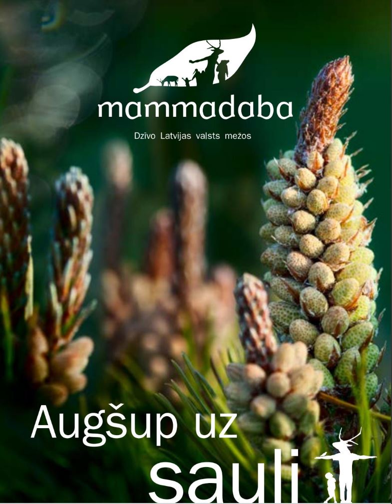 Augšup uz sauli