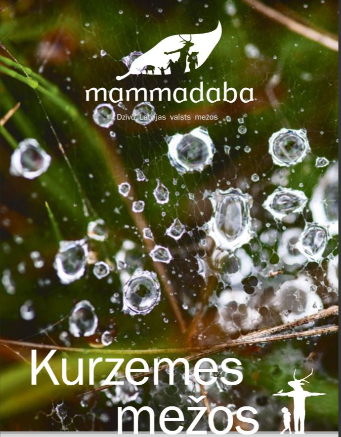 Kurzemes mežos