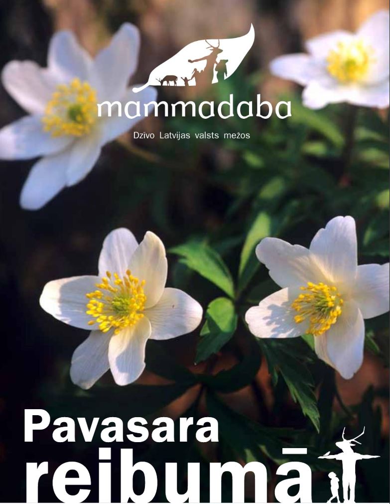 Pavasara reibuma