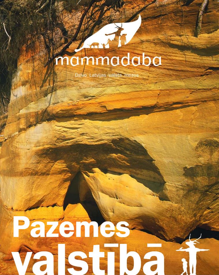 Pazemes valstiba