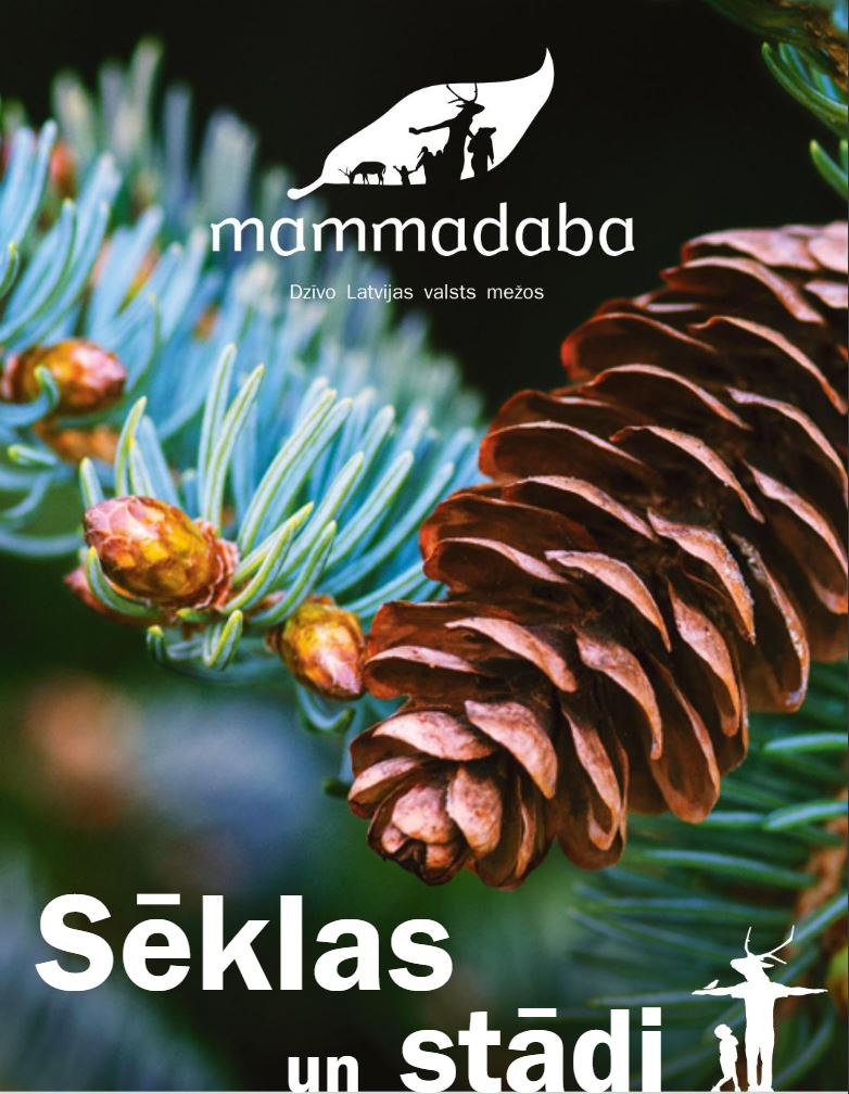 Sēklas un stādi