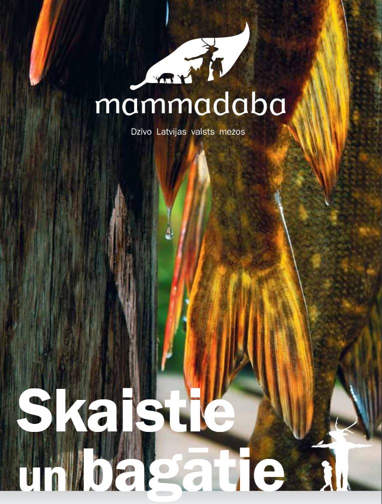 Skaistie un bagatie