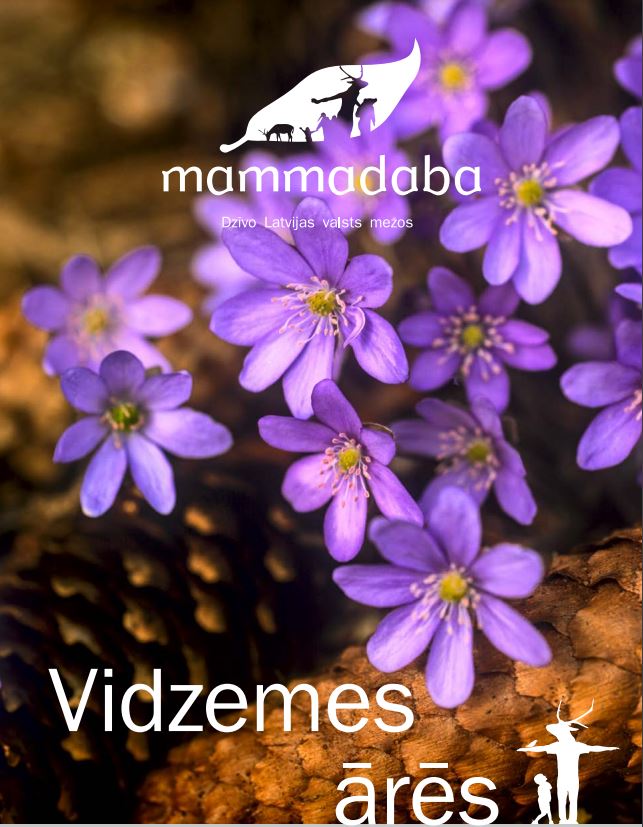 Vidzemes ārēs