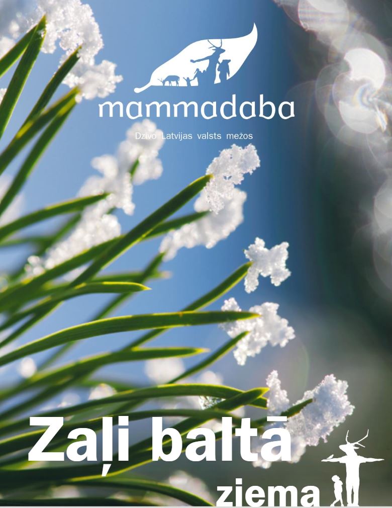 Zaļi balta ziema