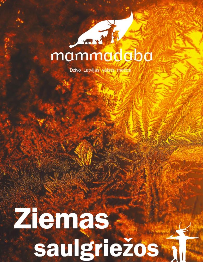 Zemas saulgriežos