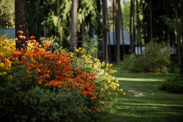 mammadaba atteliem 2