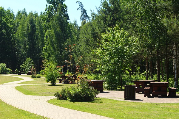 Місця для пікніка біля автостоянки