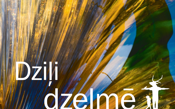 dzili dzelme ZINAI