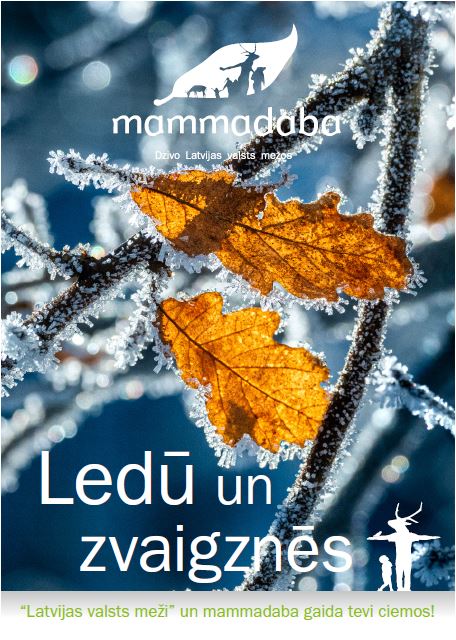 Ledū un zvaigznēs